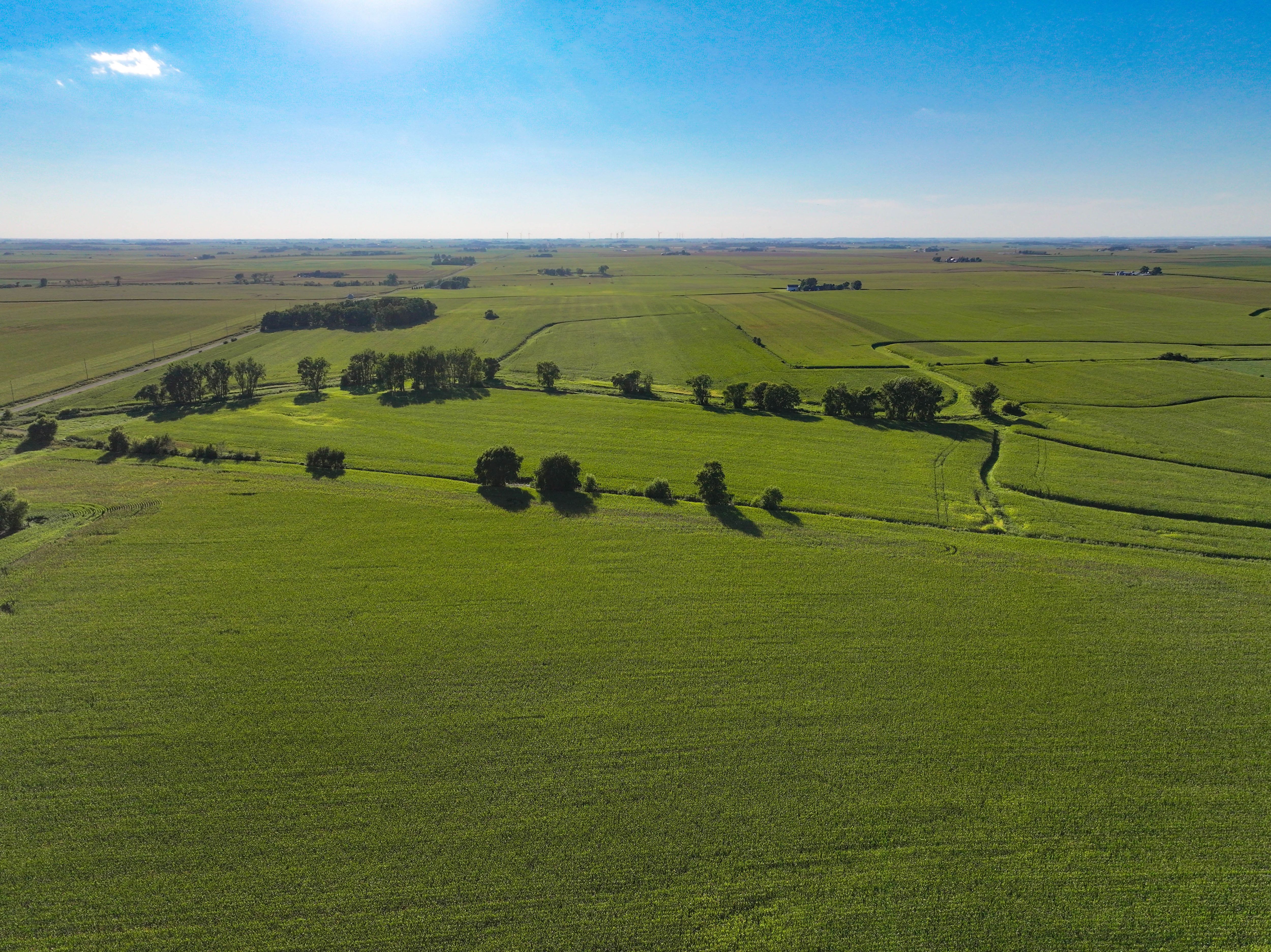 Listing Photo: 8-Fayette County Iowa Land Auction